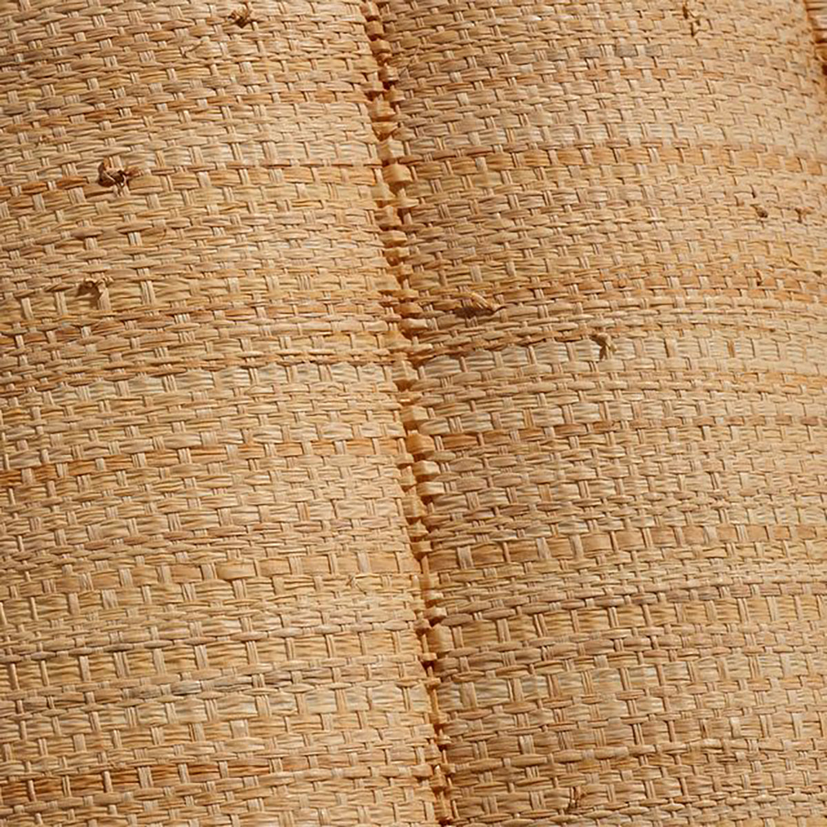 Jamie Young Scalloped Wall Sconce