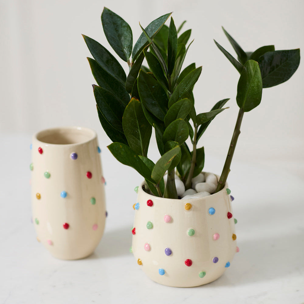 Color Dot Pot Set of 2