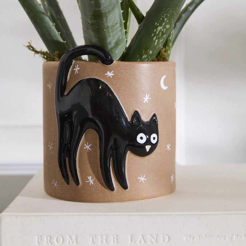 Witching Hour Pot