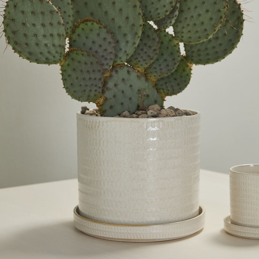 Morse Pot with Saucer close-up view, warm white ceramic planter with saucer