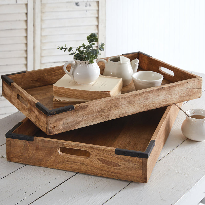 Coffee Table Tray Set of 2