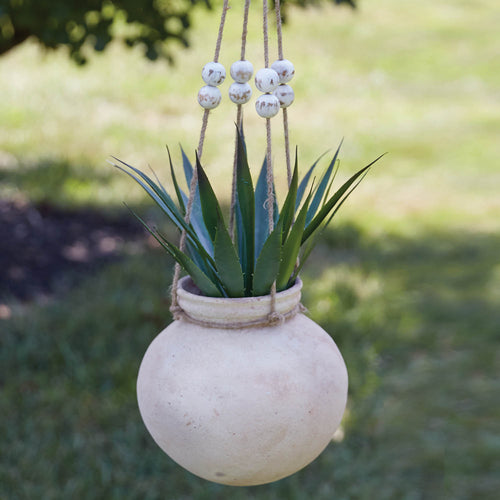 Clay Water Pot Planter