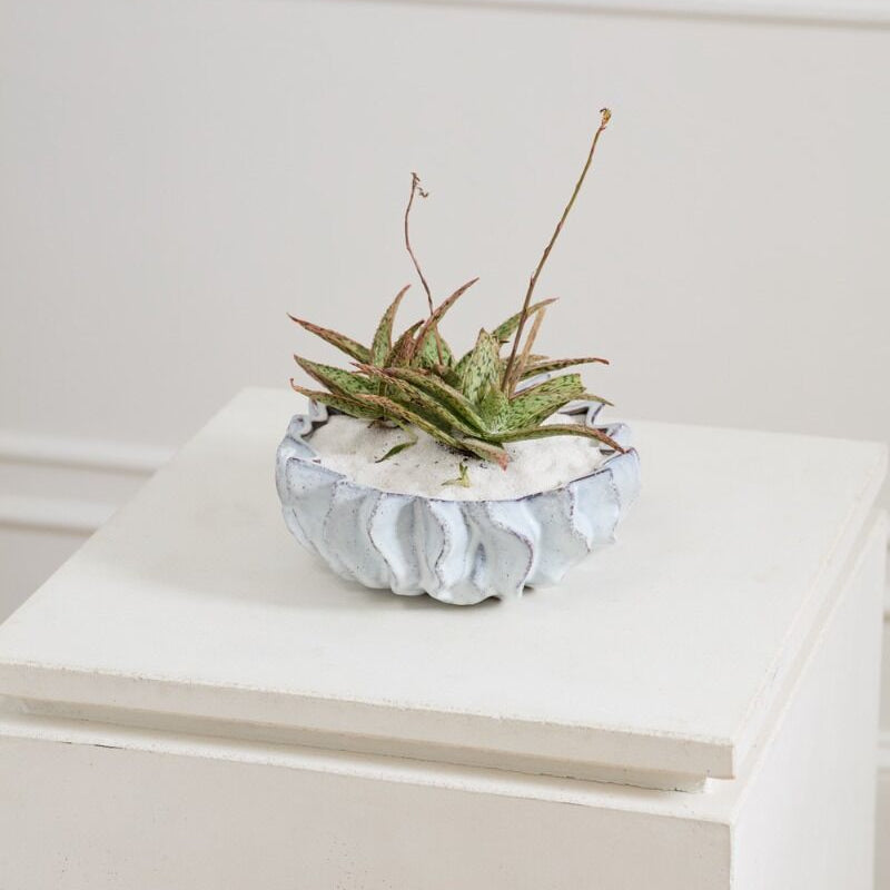 Sona Bowl for home and event decor