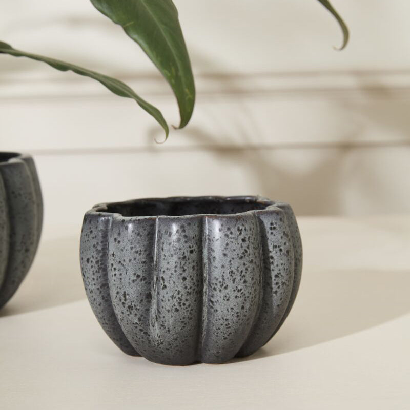 Spiced Pumpkin Pot Set of 4
