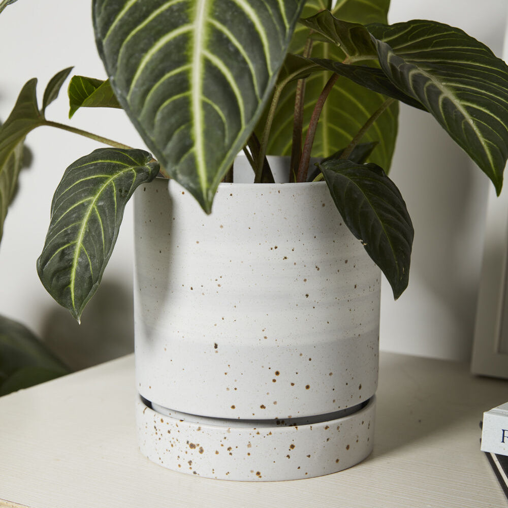 La Jolla Pot, grey ceramic planter with saucer