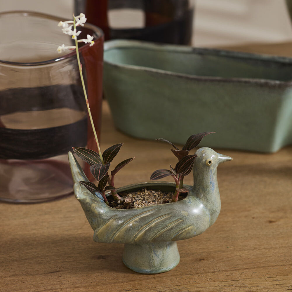 Shorebird Planter styled as home decor