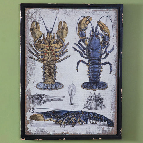 Scientific Blue Lobster Wall Art