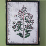 Botanical Olive Branch Wall Art