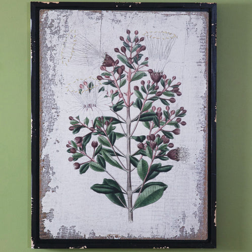 Botanical Olive Branch Wall Art