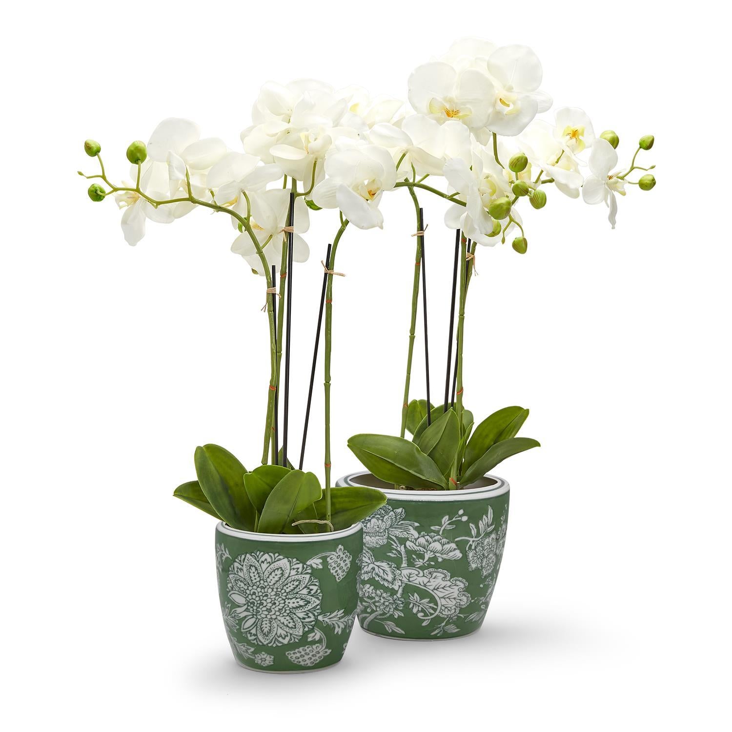 Countryside Cachepot/Planter Set of 2