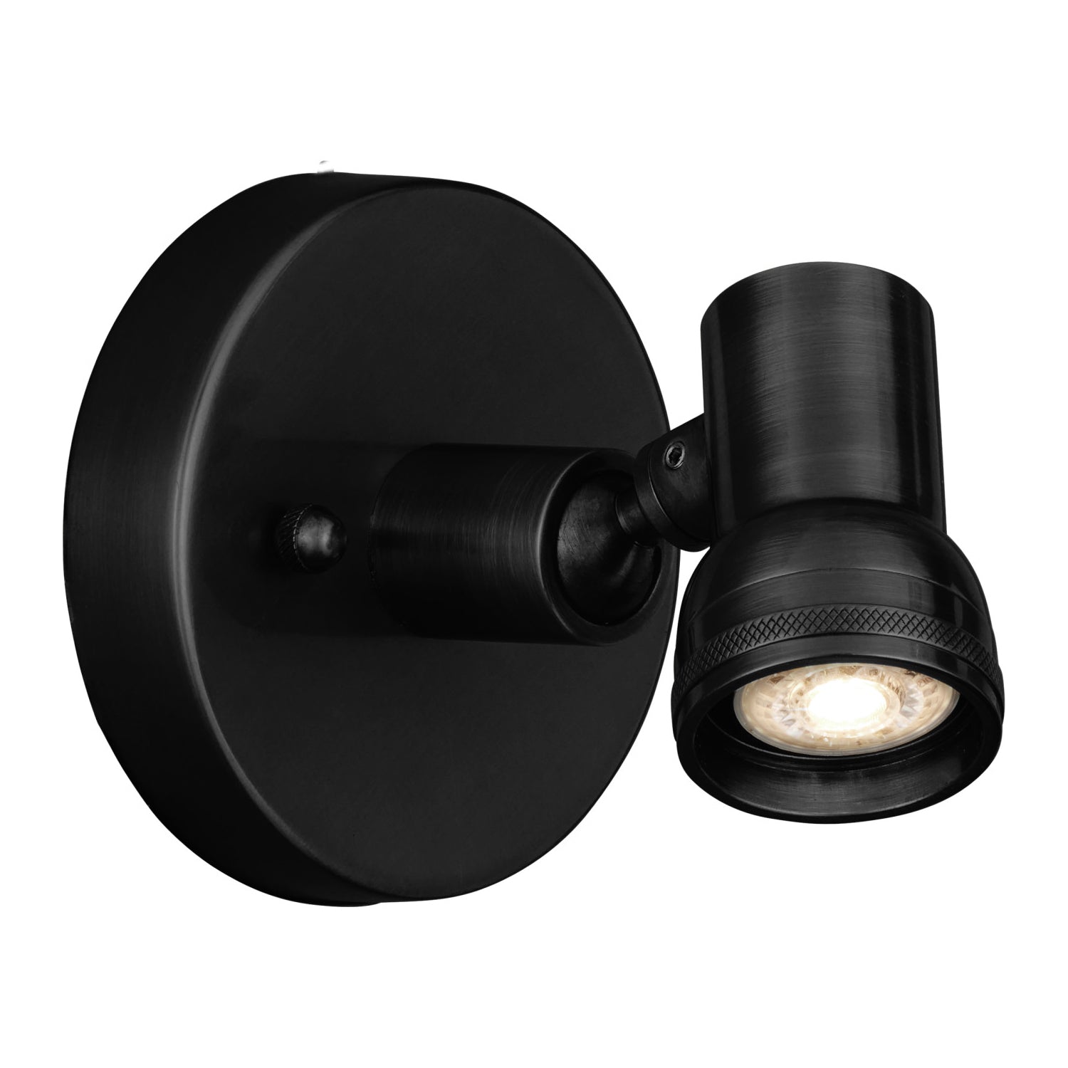 Currey & Co Patterson Black Picture Light