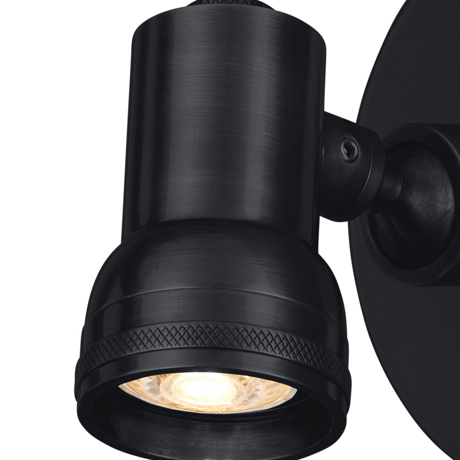 Currey & Co Patterson Black Picture Light