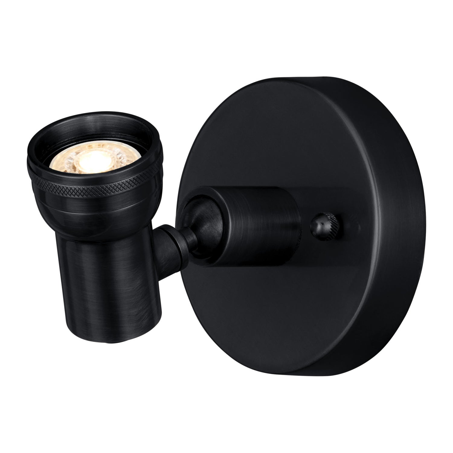 Currey & Co Patterson Black Picture Light