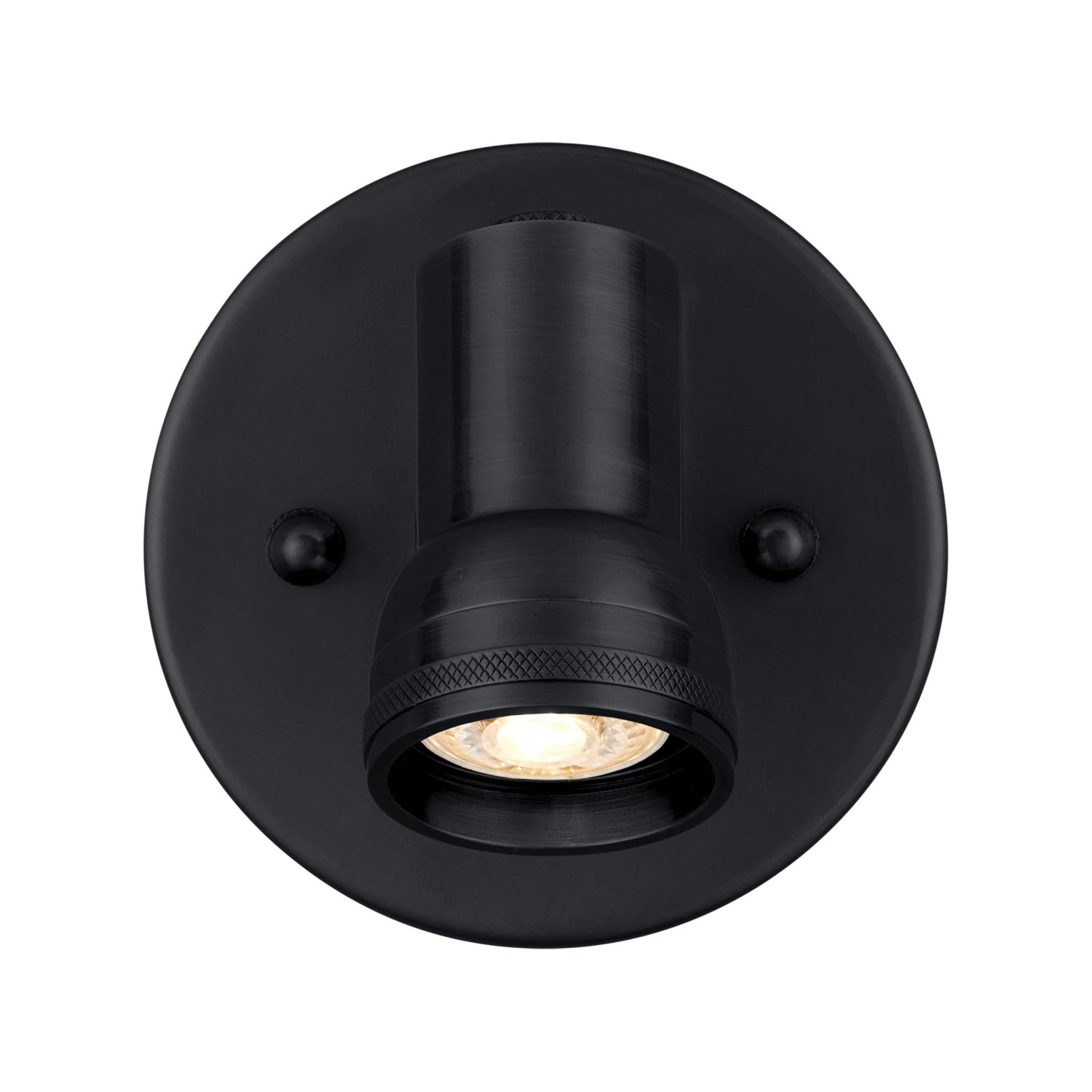 Currey & Co Patterson Black Picture Light