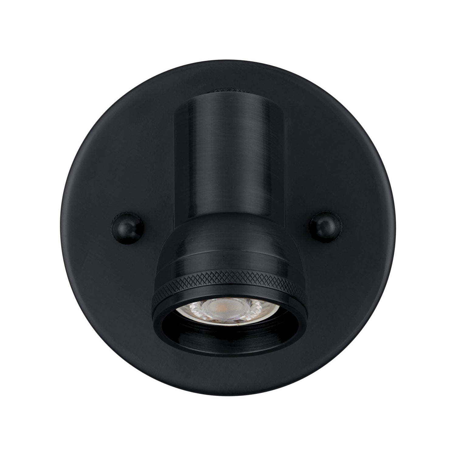 Currey & Co Patterson Black Picture Light