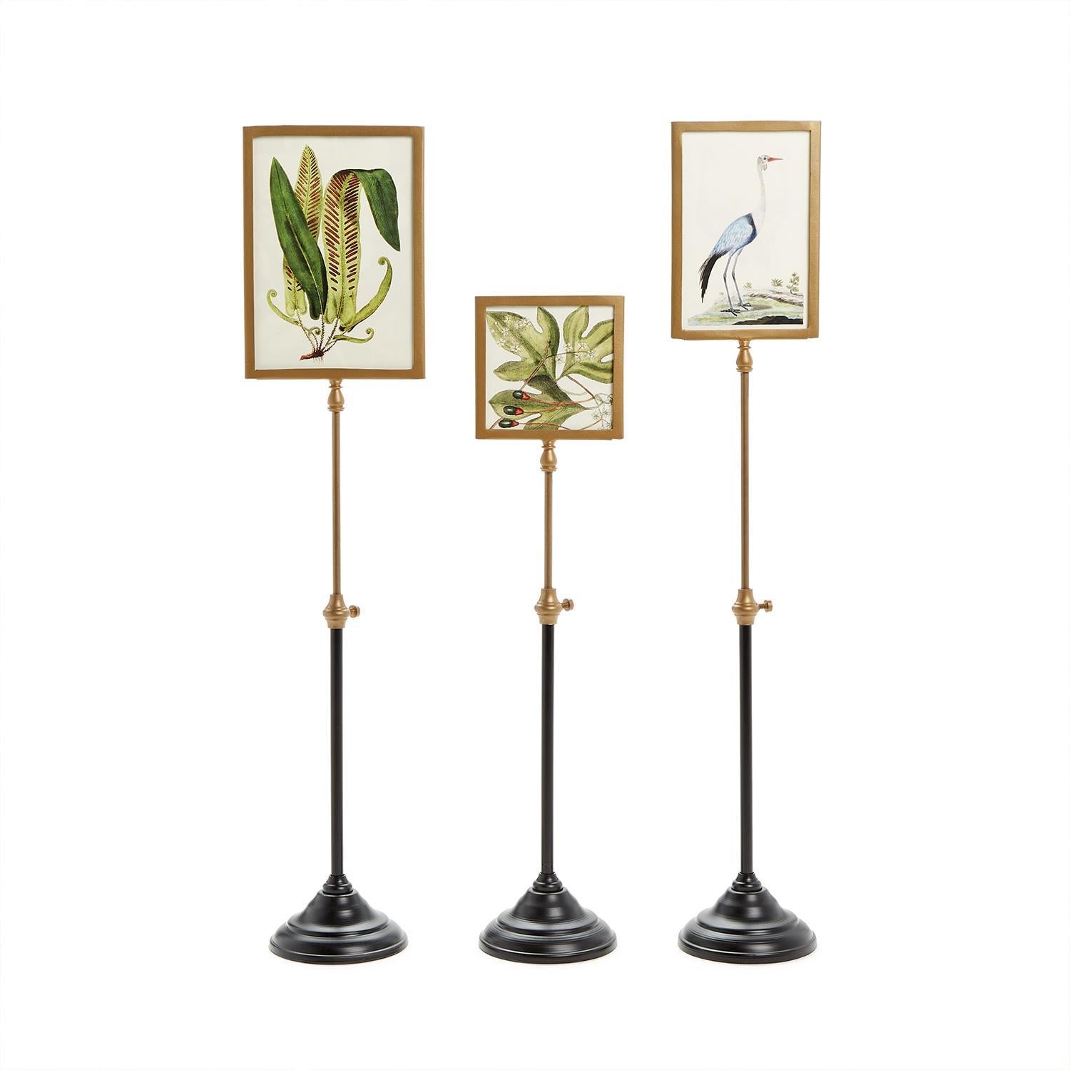 Telescoping Pole Double Sided Photo Frame Set of 3
