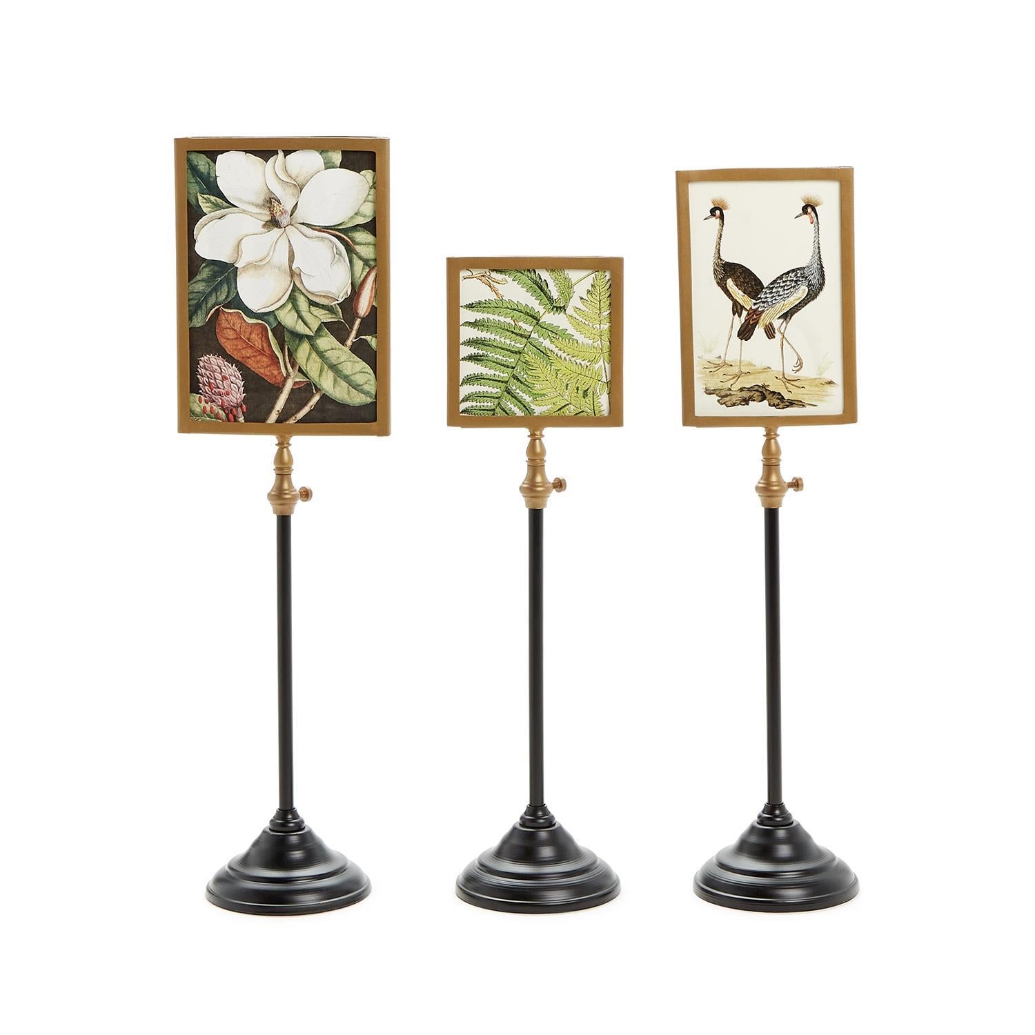 Telescoping Pole Double Sided Photo Frame Set of 3