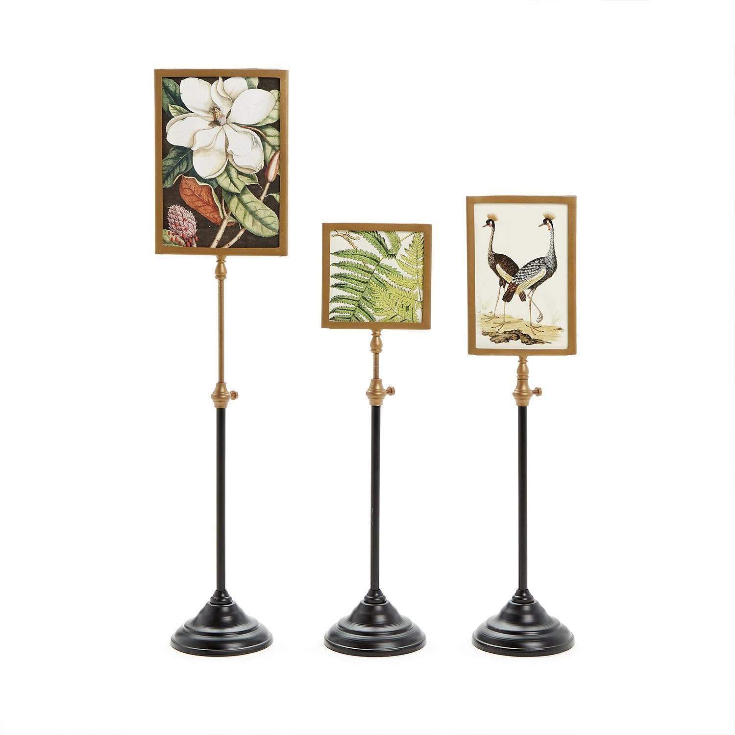 Telescoping Pole Double Sided Photo Frame Set of 3