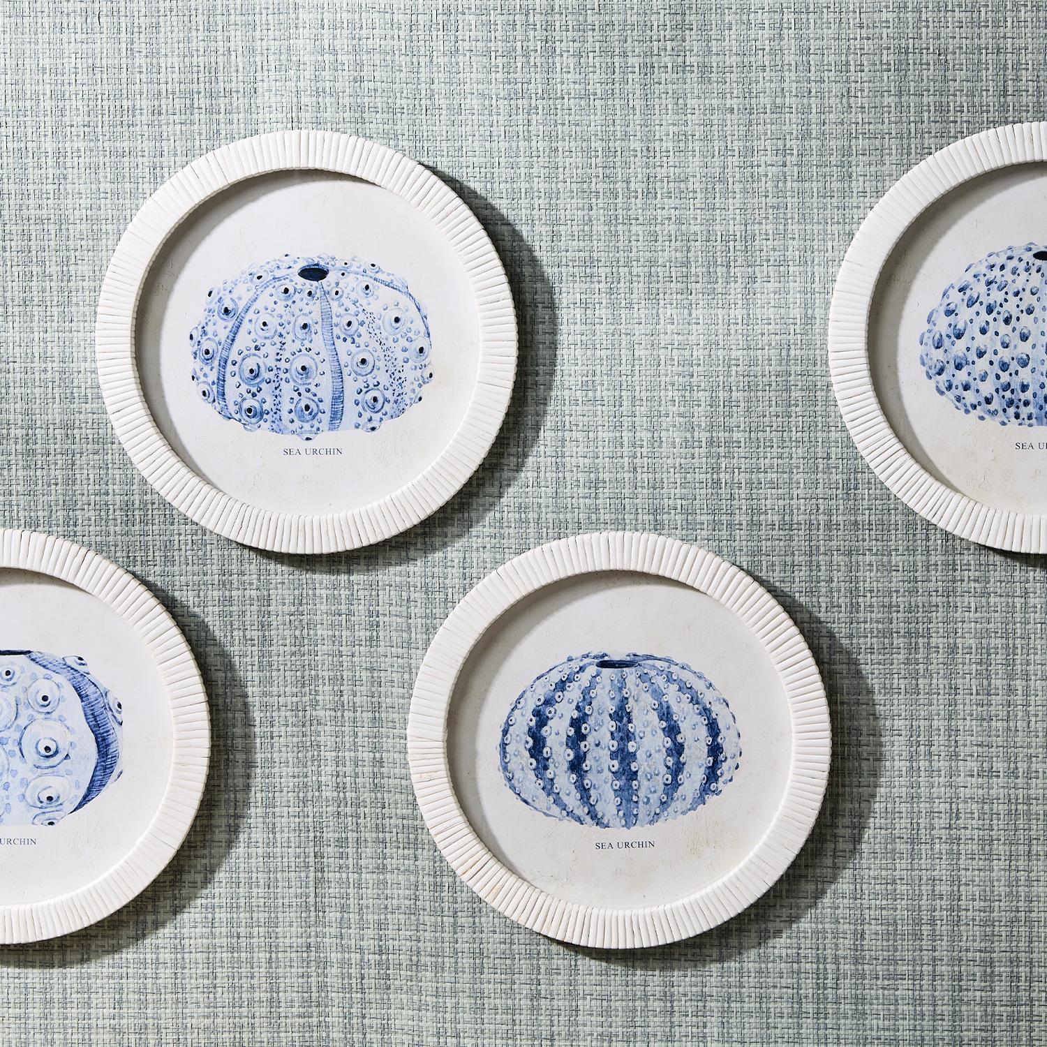 Sea Urchin Wall Art Set of 4