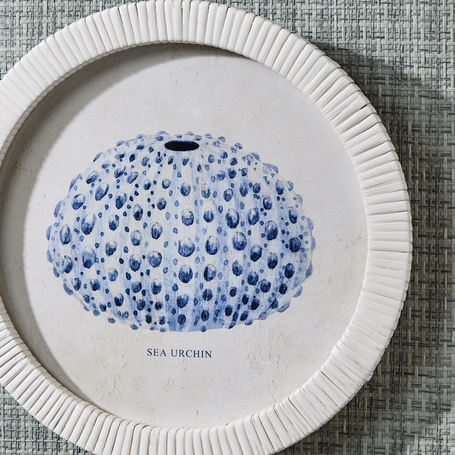 Sea Urchin Wall Art Set of 4