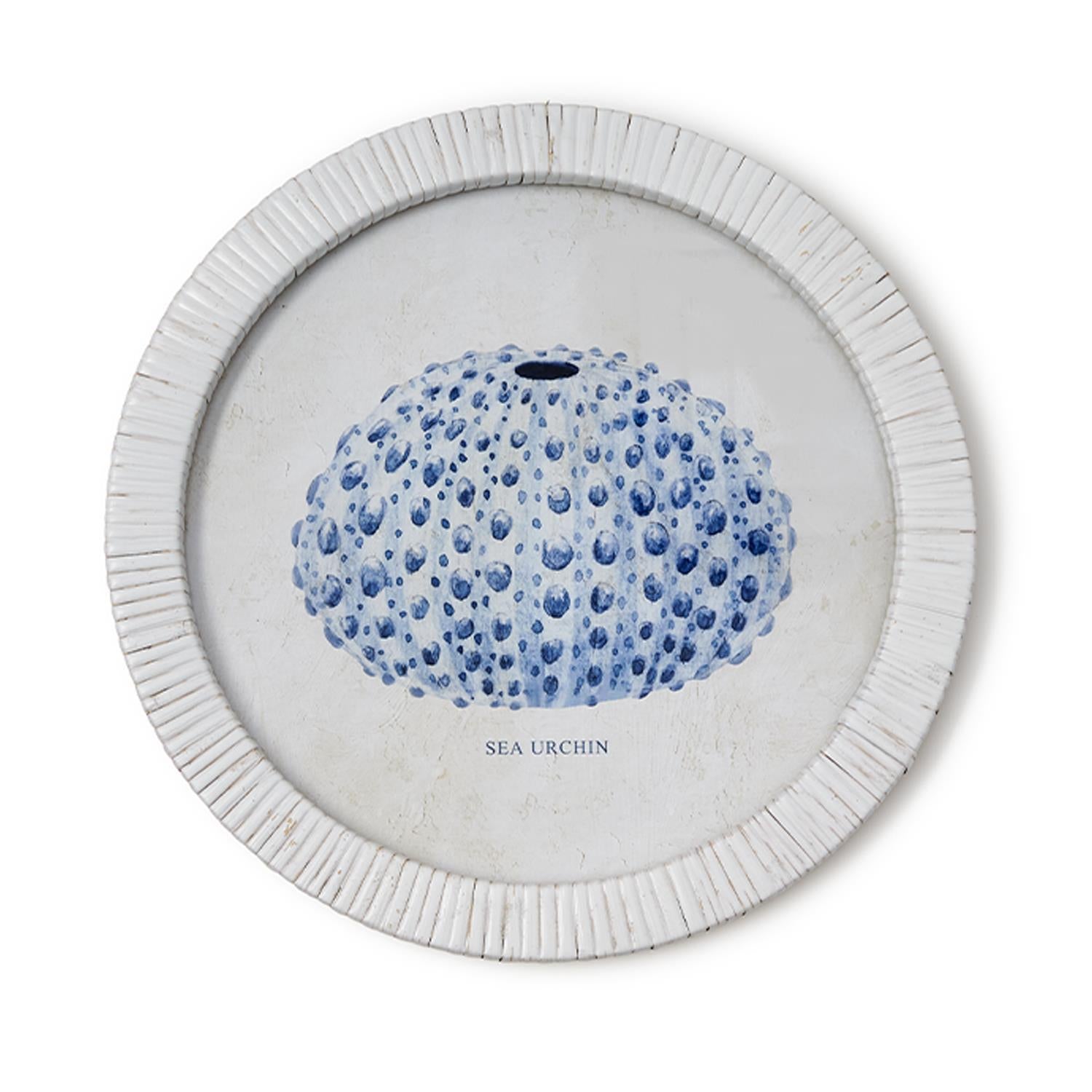 Sea Urchin Wall Art Set of 4