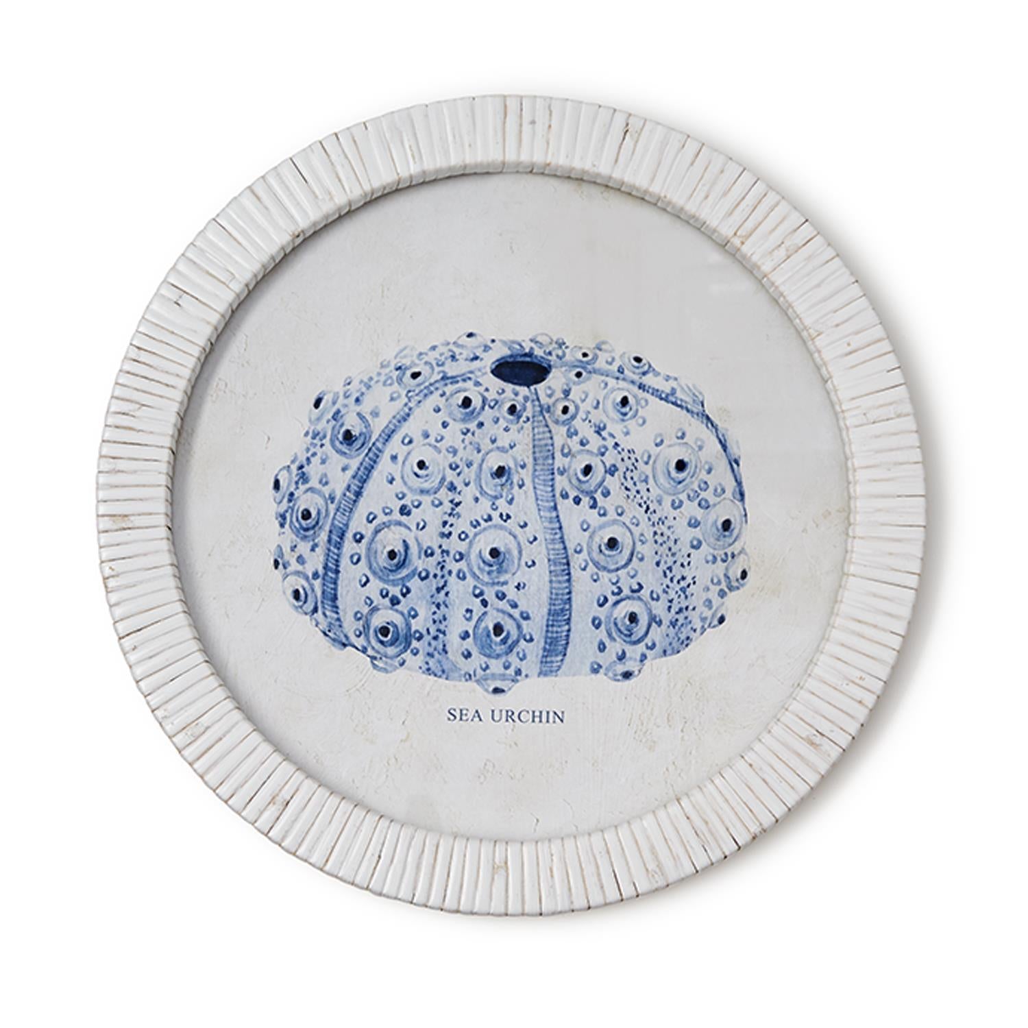 Sea Urchin Wall Art Set of 4