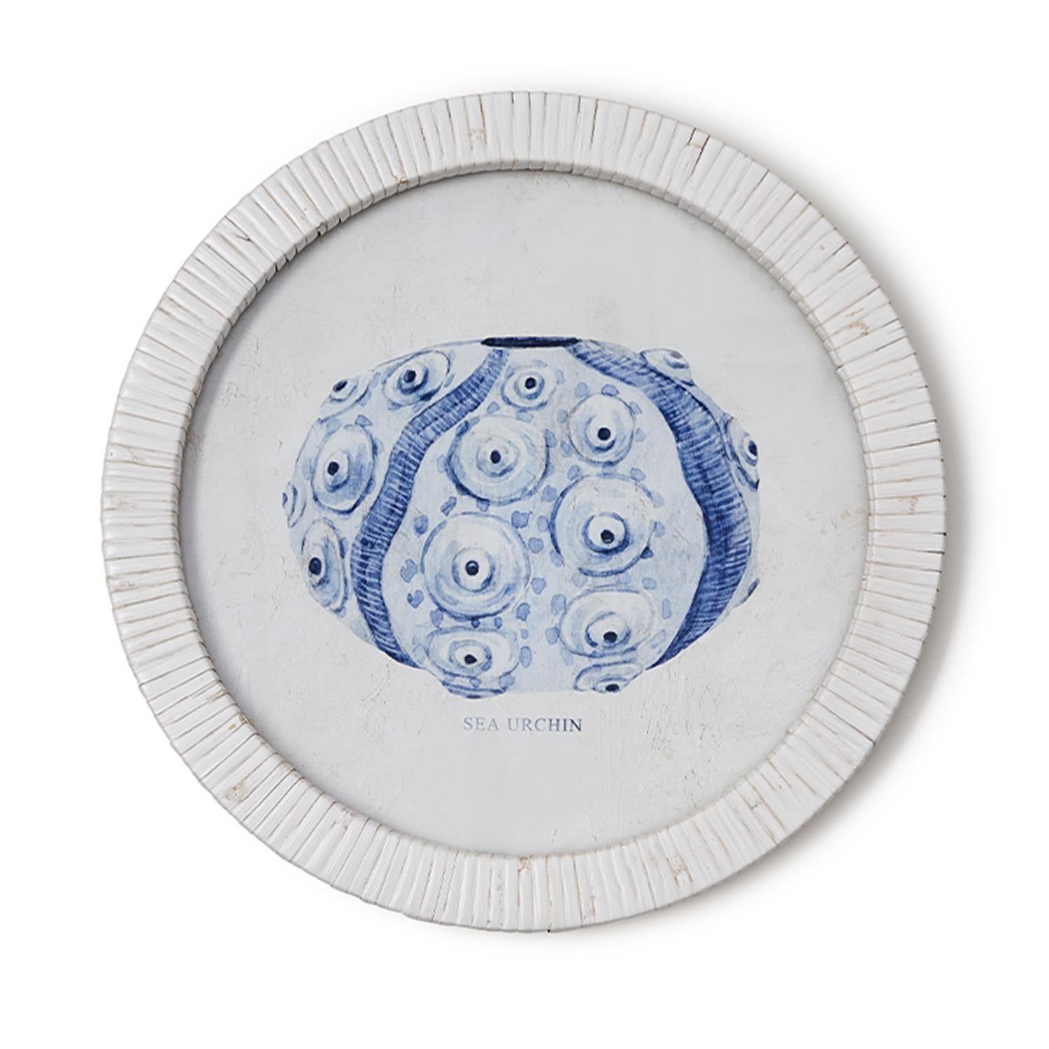 Sea Urchin Wall Art Set of 4