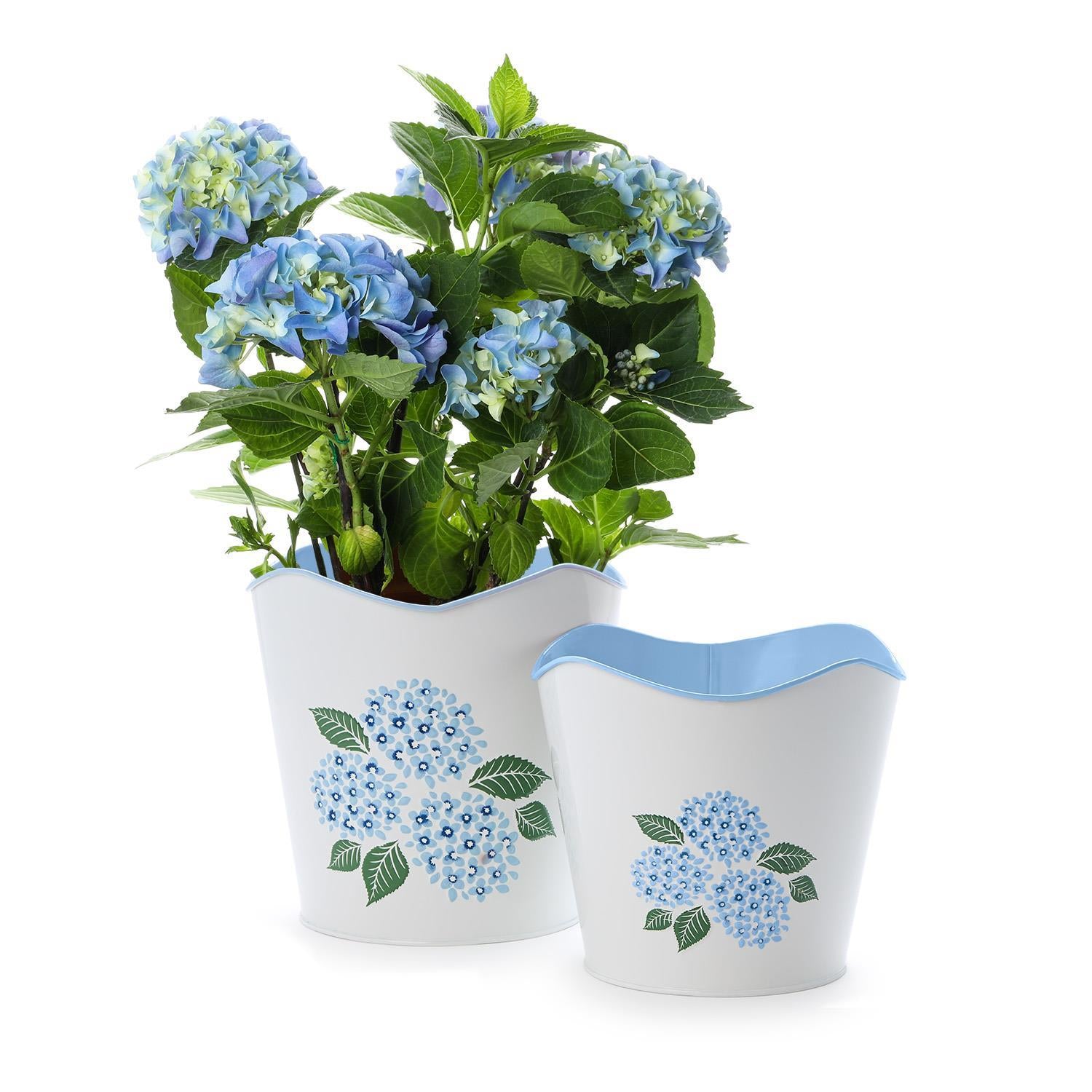 Hydrangea Blue Flower Cachepot Set of 2