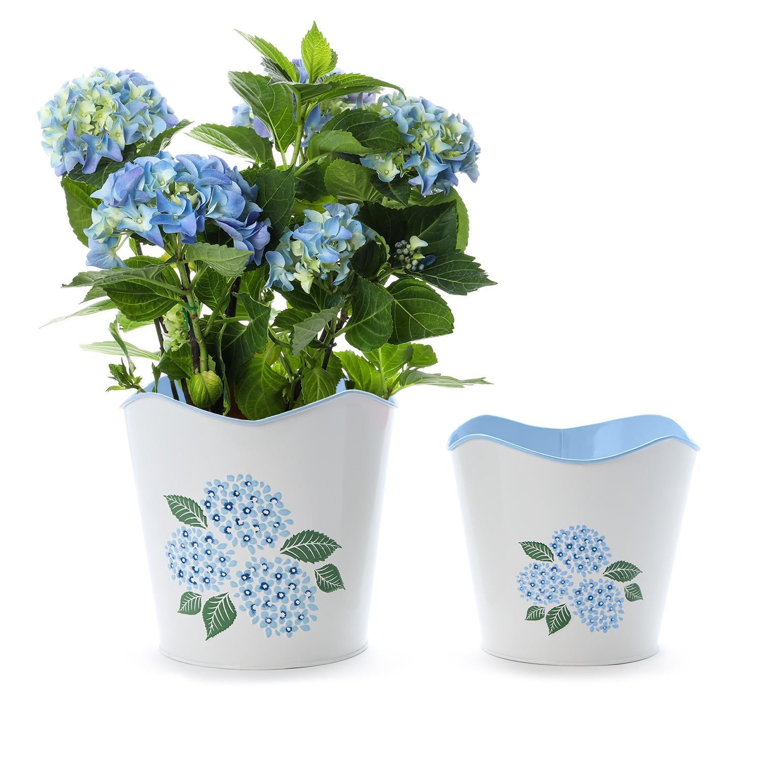 Hydrangea Blue Flower Cachepot Set of 2