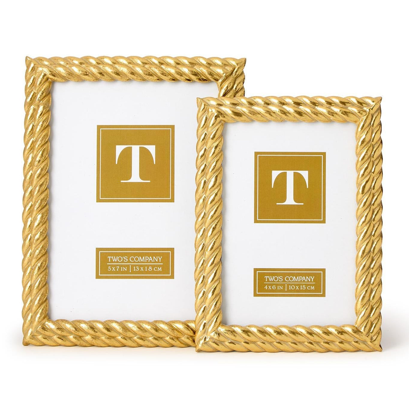 Gold Double Rope Frame Set of 2