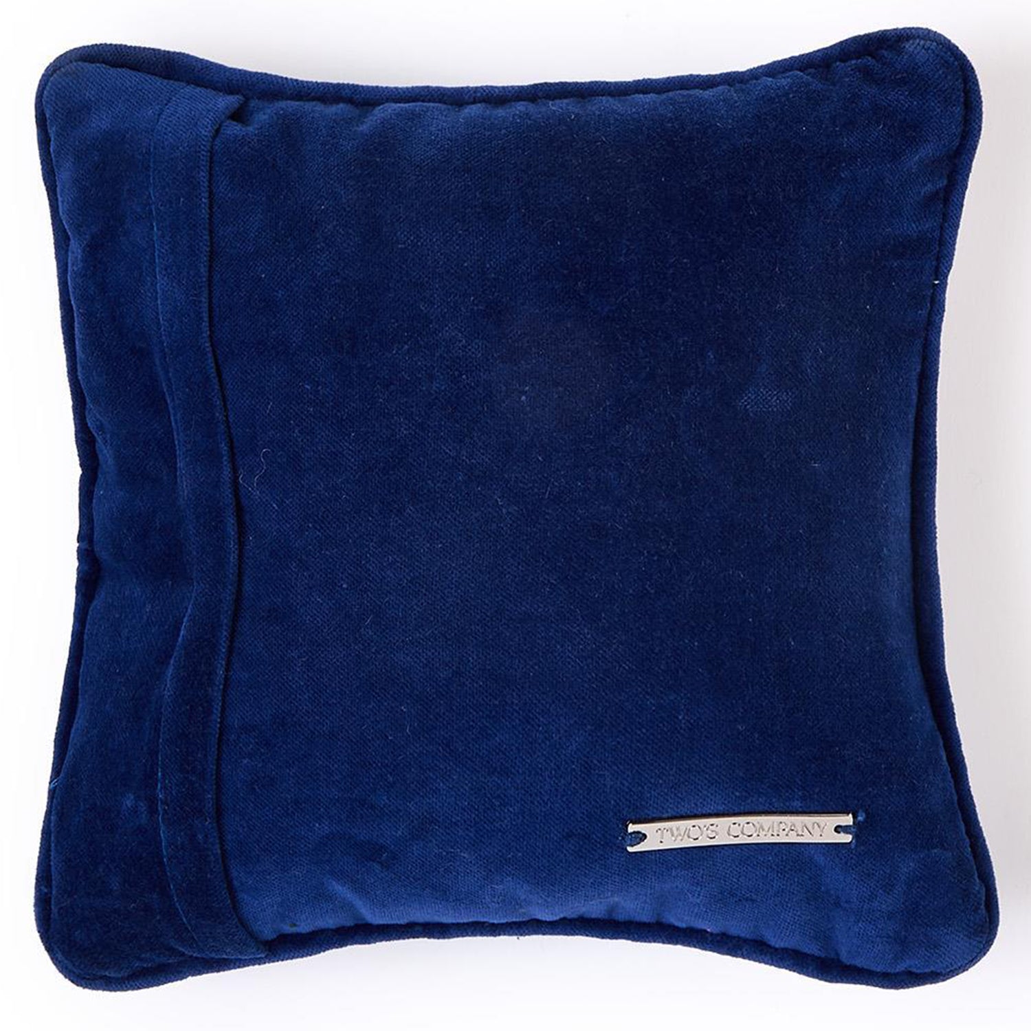 Carpe Diem Needlepoint Pillow