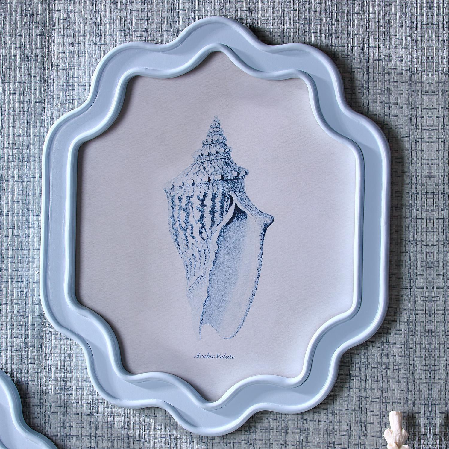 Shell Wall Art Set of 4
