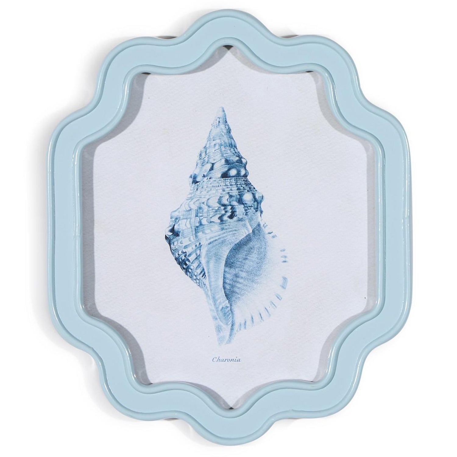 Shell Wall Art Set of 4