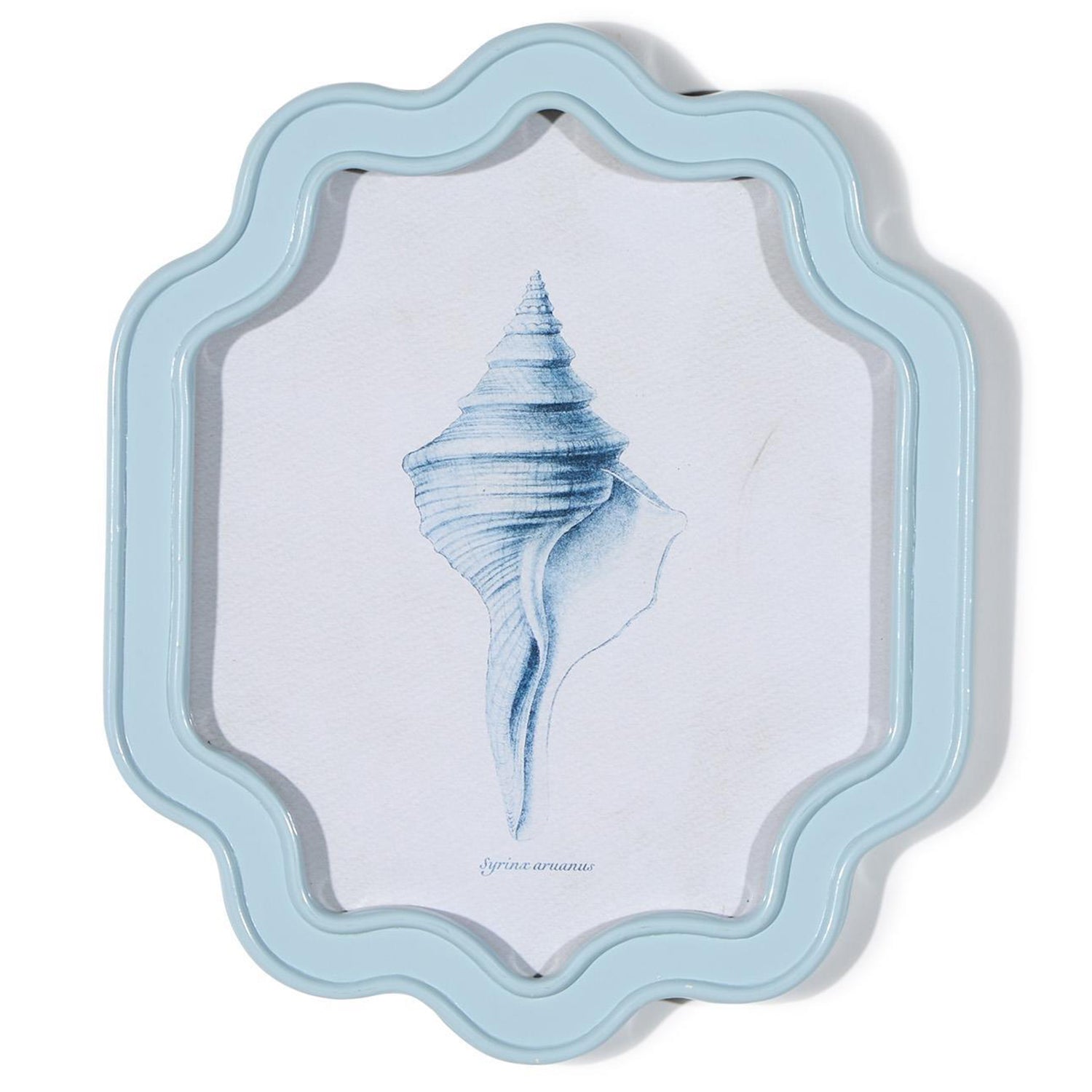 Shell Wall Art Set of 4