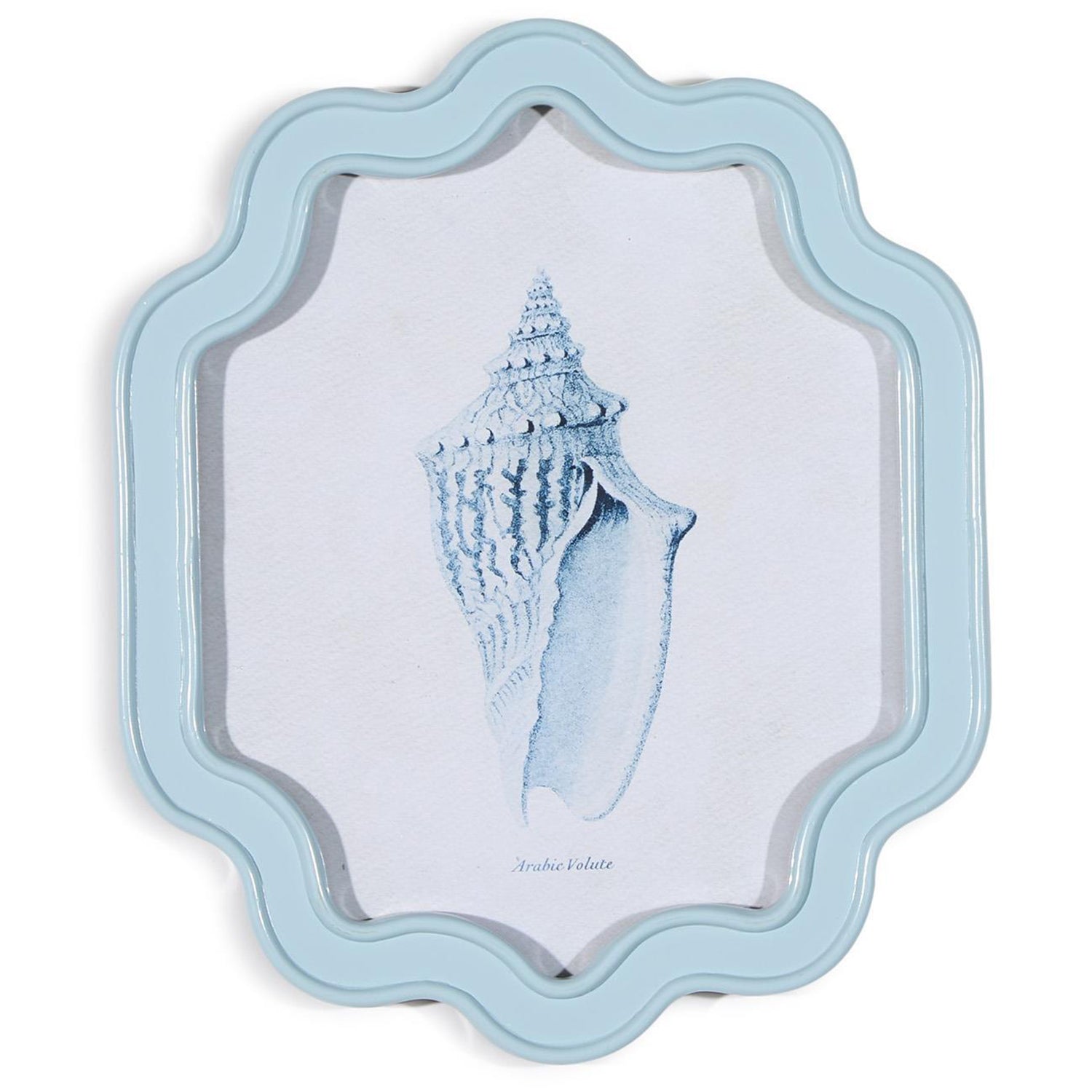 Shell Wall Art Set of 4