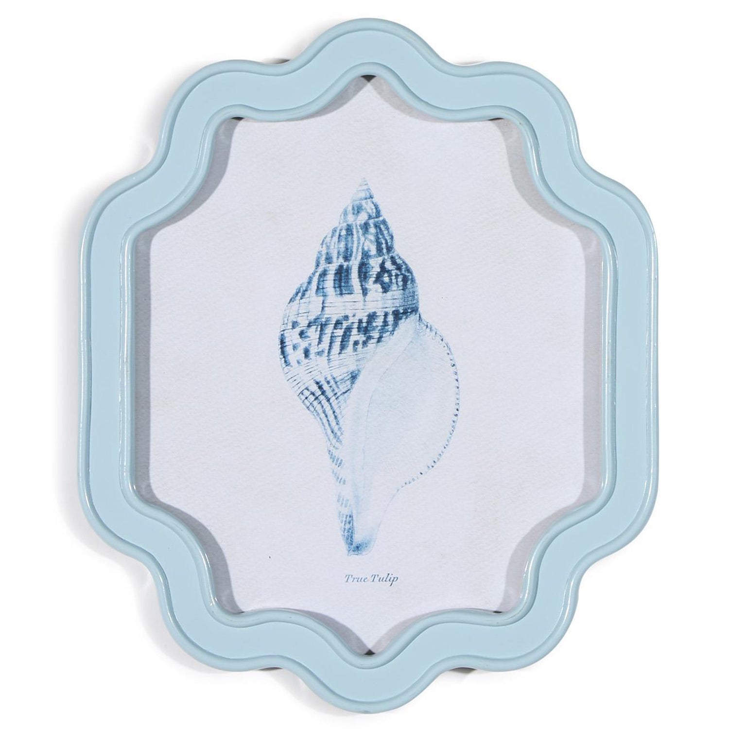 Shell Wall Art Set of 4