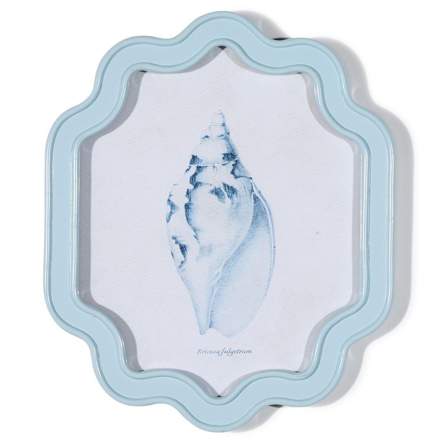 Shell Wall Art Set of 4