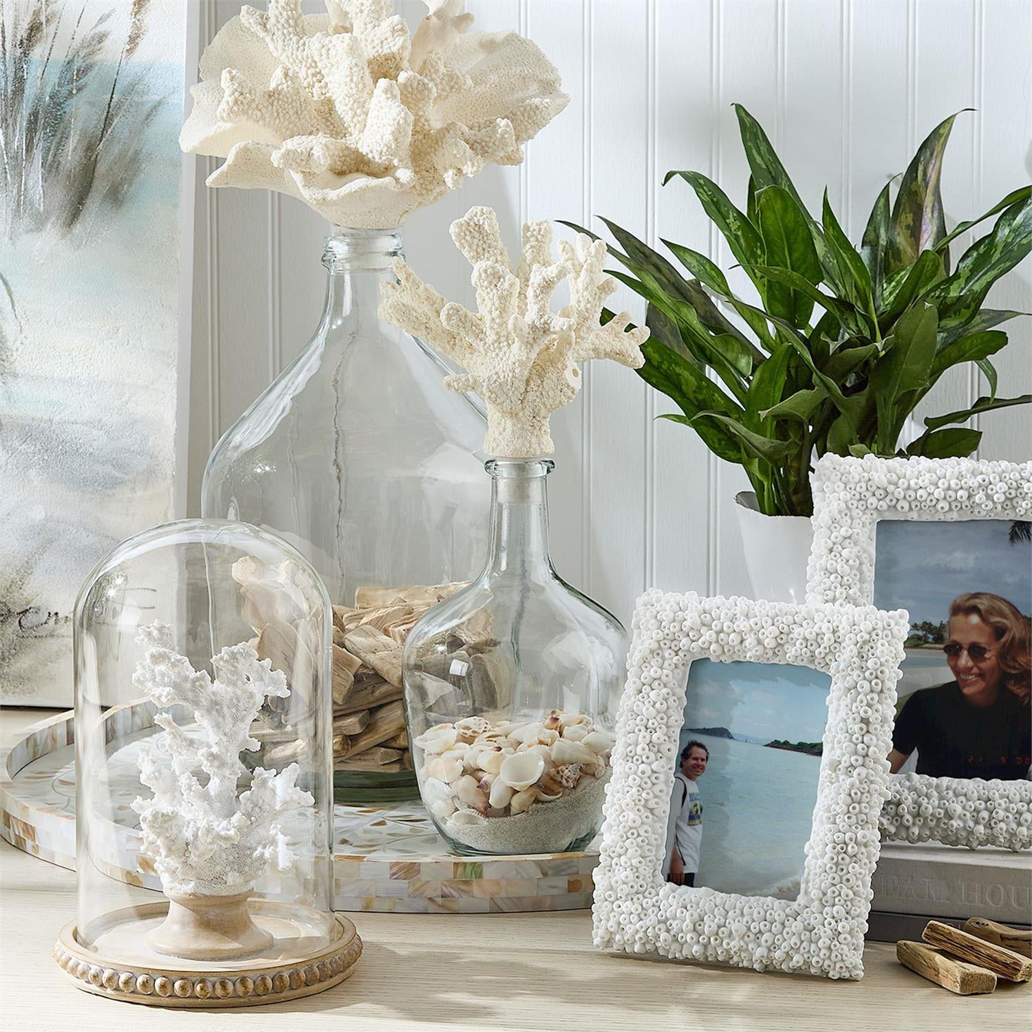 White Coral Frame Set of 2