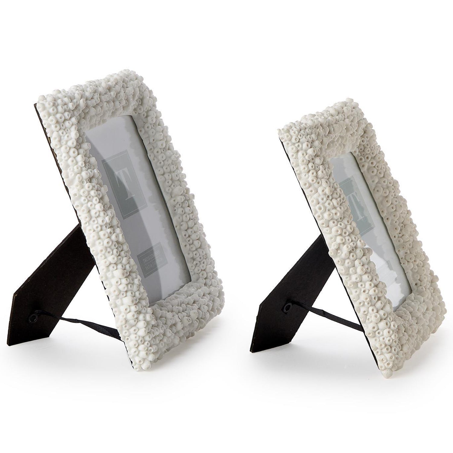 White Coral Frame Set of 2