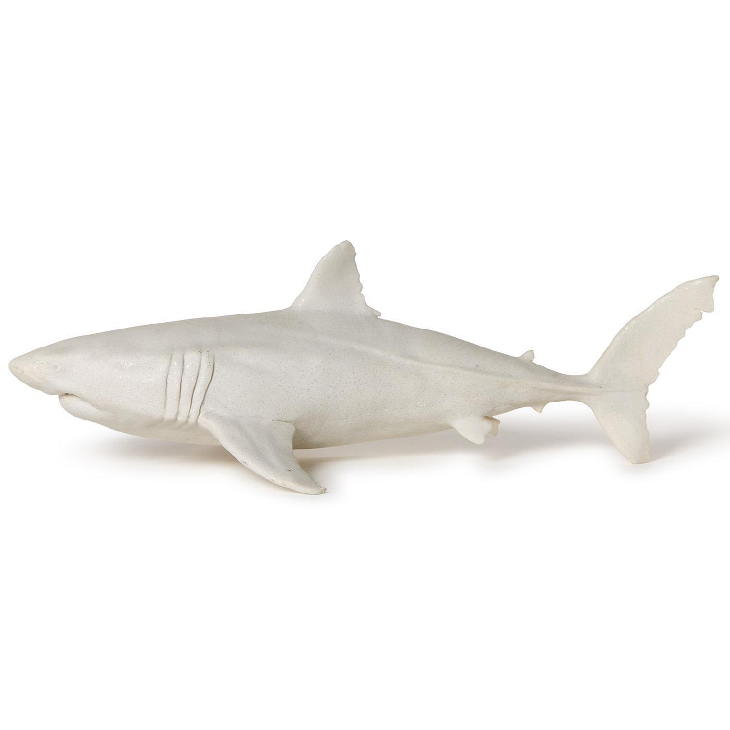 Great White Shark
