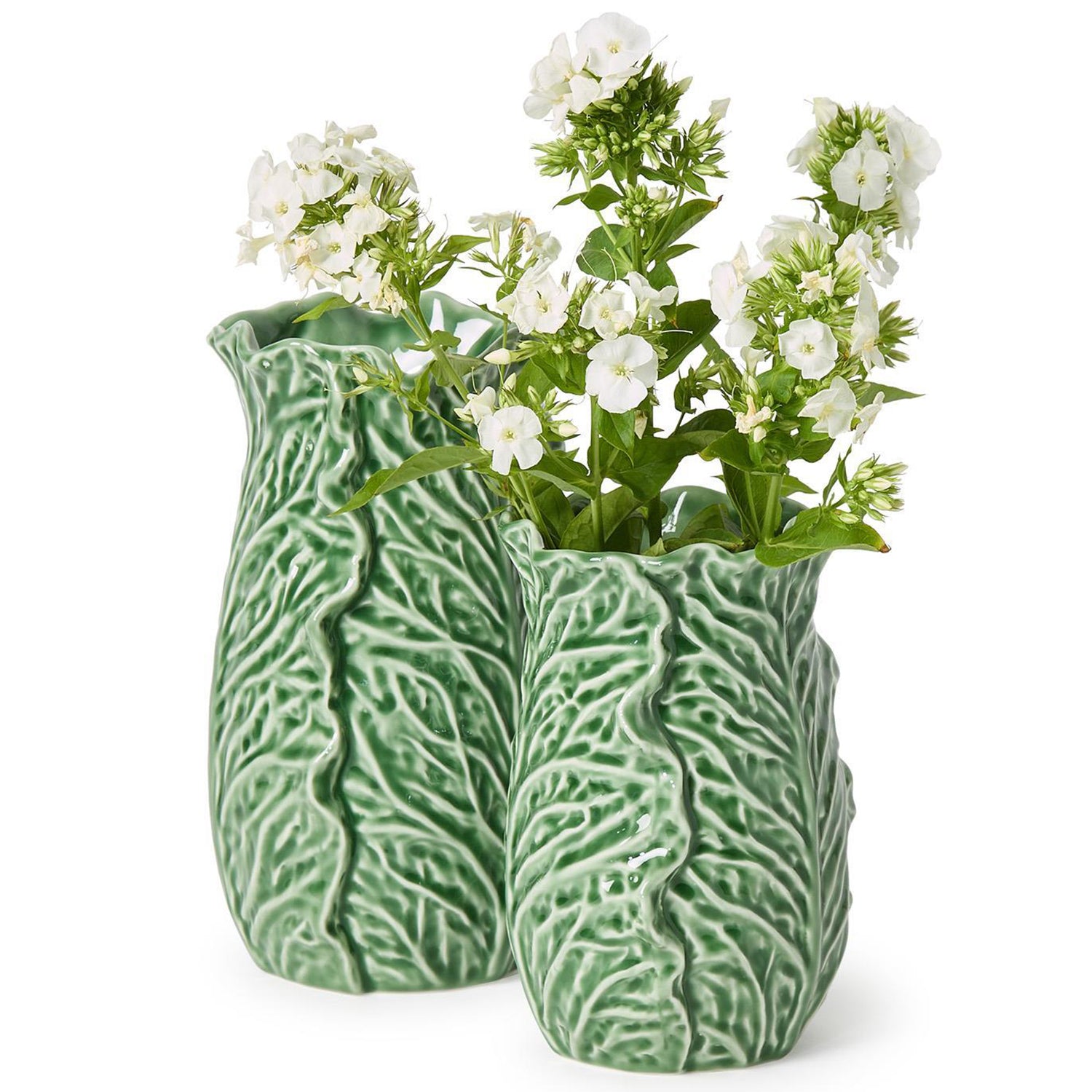 Cruciferous Leaf Textured Vase Set of 2
