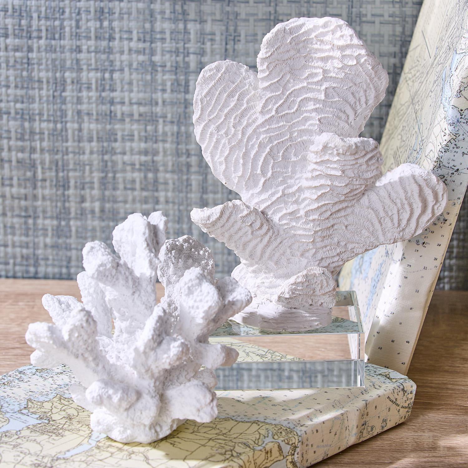 White Coral Sculptures on Acrylic Base Set of 3