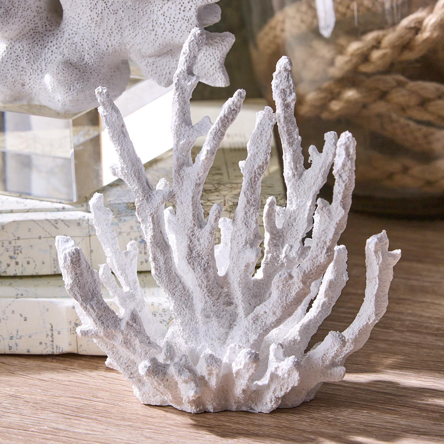 White Coral Sculptures on Acrylic Base Set of 3