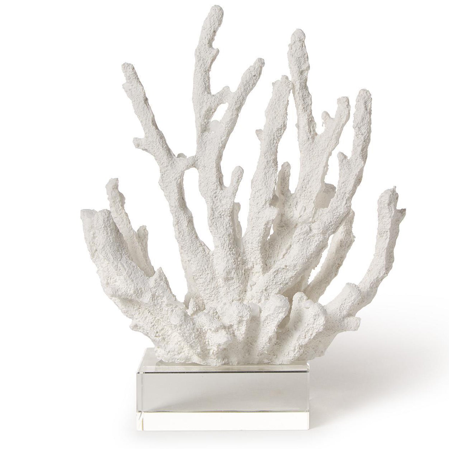 White Coral Sculptures on Acrylic Base Set of 3