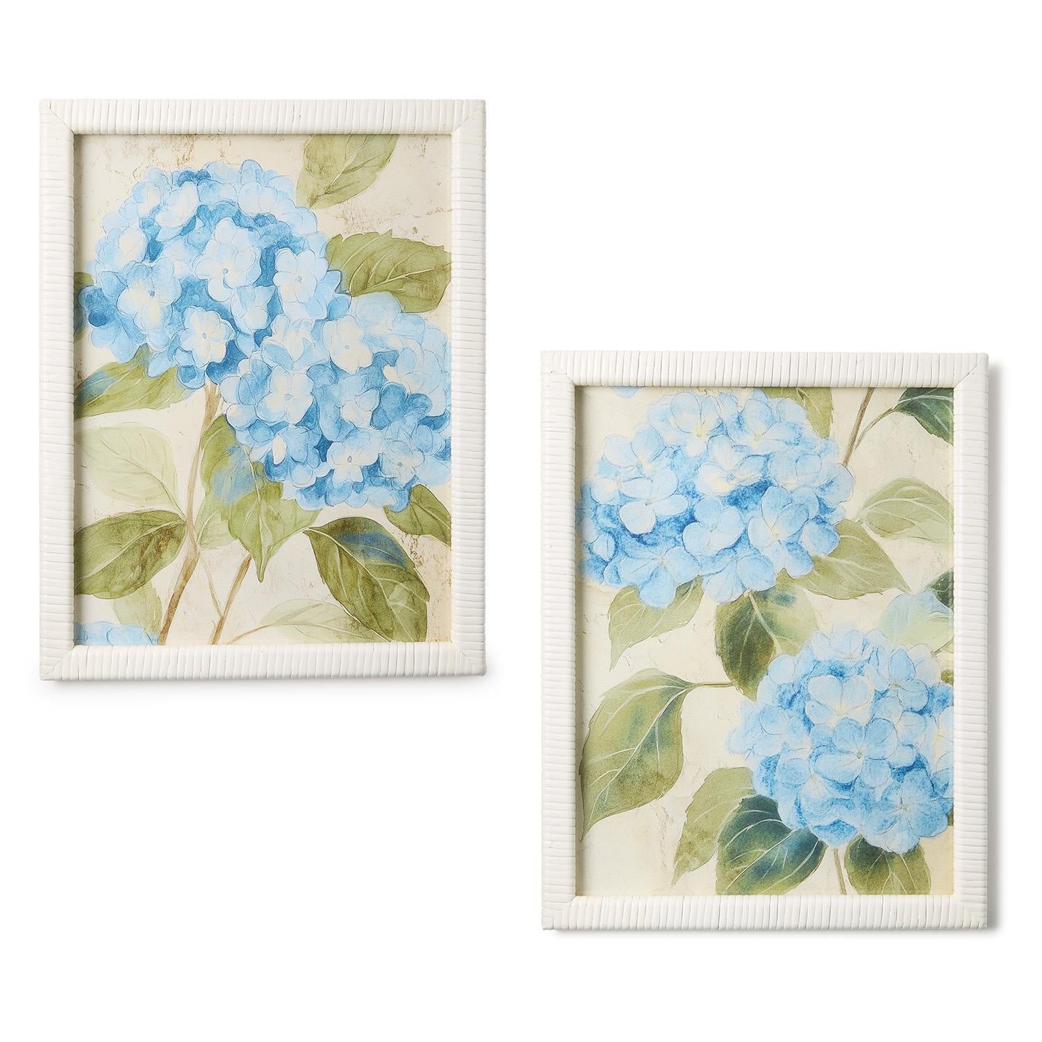 Hydrangea Framed Wall Art Print Set of 2