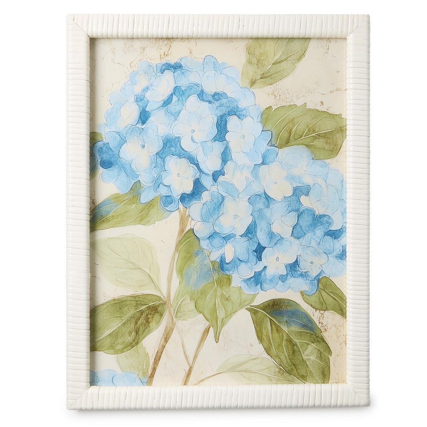 Hydrangea Framed Wall Art Print Set of 2