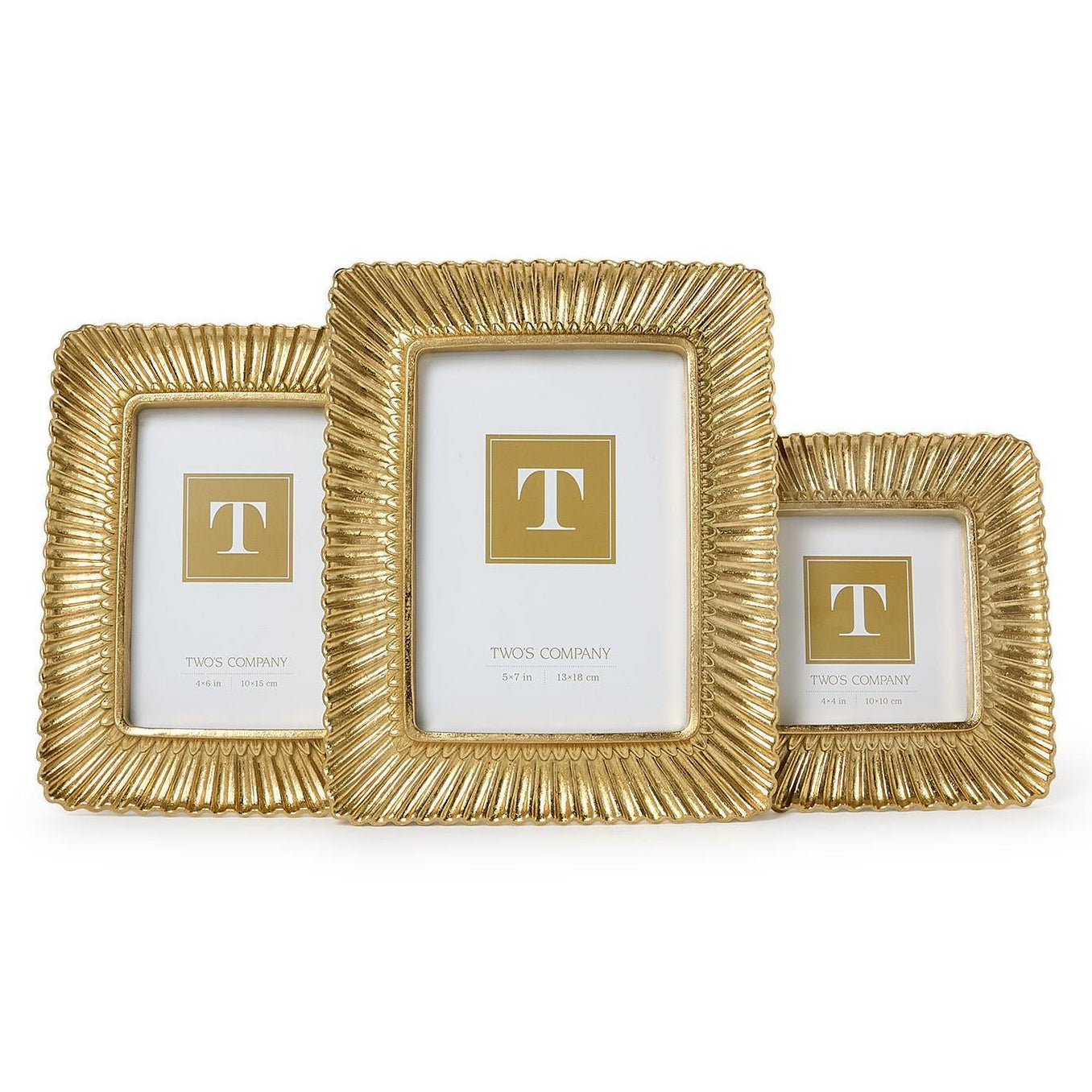 Sculpted Scalloped Plume Gold Photo Frame Set of 3