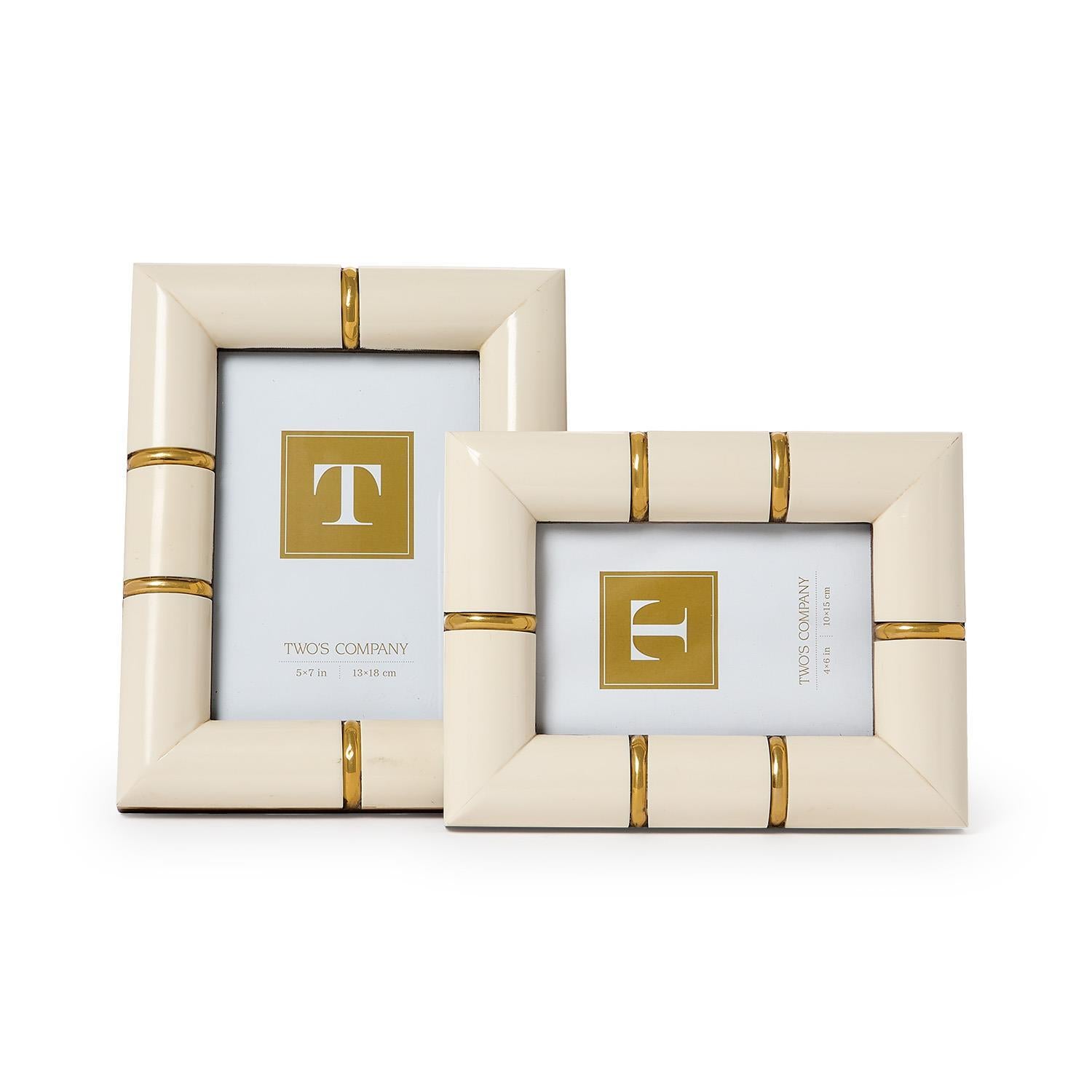 Faux Bone Picture Frame Set of 2