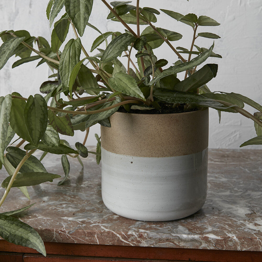 Rooney Pot, a multi ceramic home decor accent