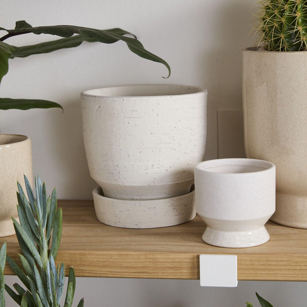 Salavage Pot with Saucer decorative accent piece